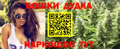 сатива Бузулук