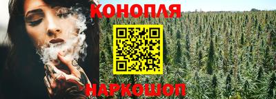 сатива Бузулук