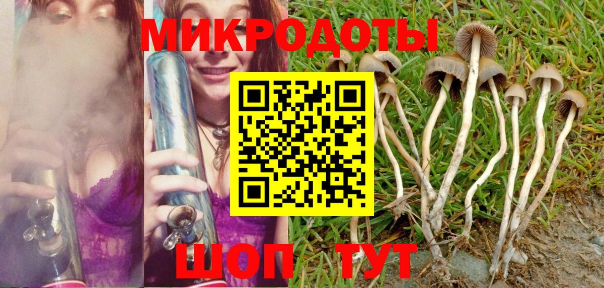 Галлюциногенные грибы Psilocybe  Вход с VPN  даркнет сайт  Рубцовск 